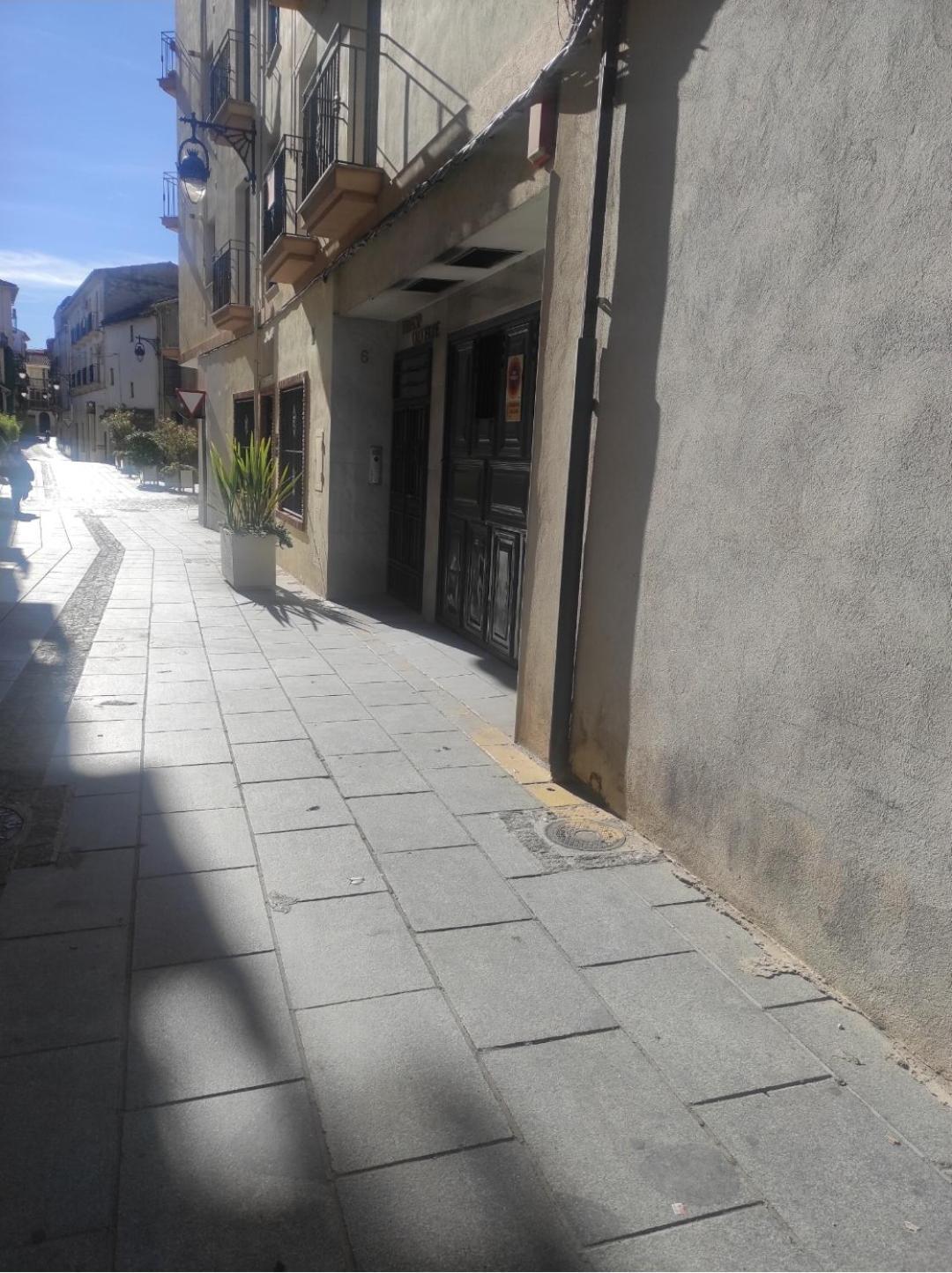 Angustias Plaza Parking Gratis Privada Incluida Apartment *